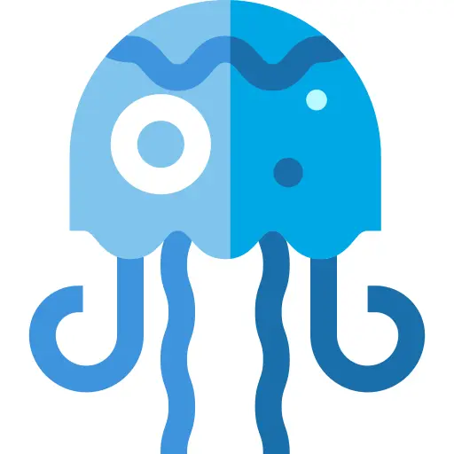 Jellyfish