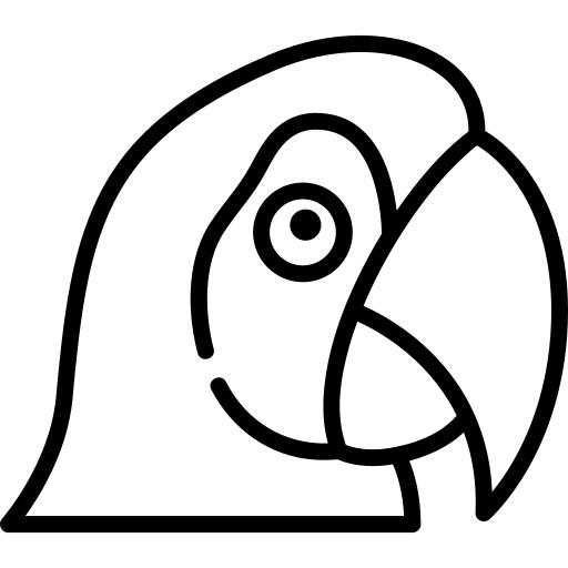 Macaw