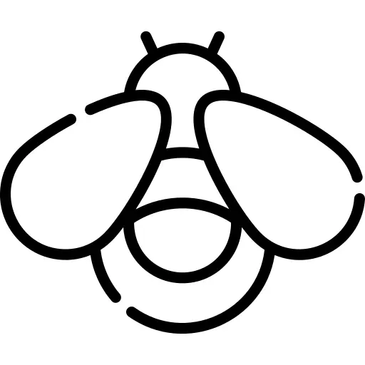 Firefly
