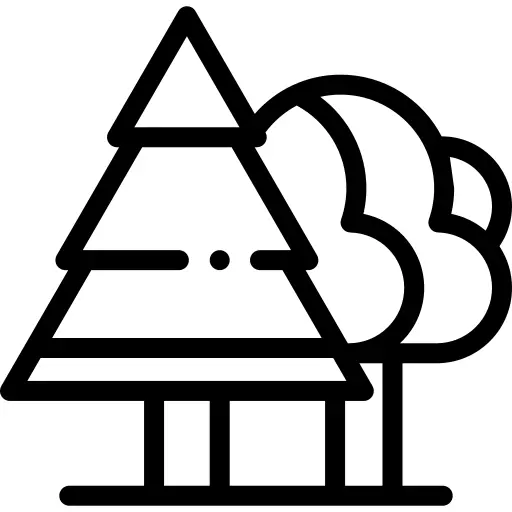 Pine