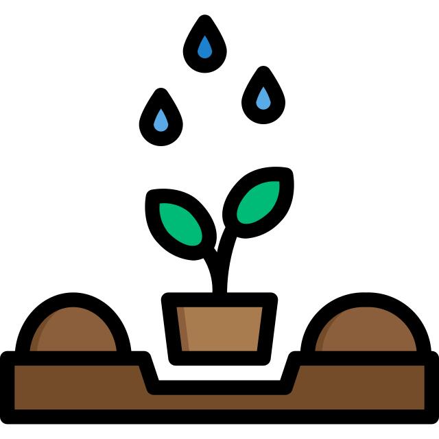 Plant