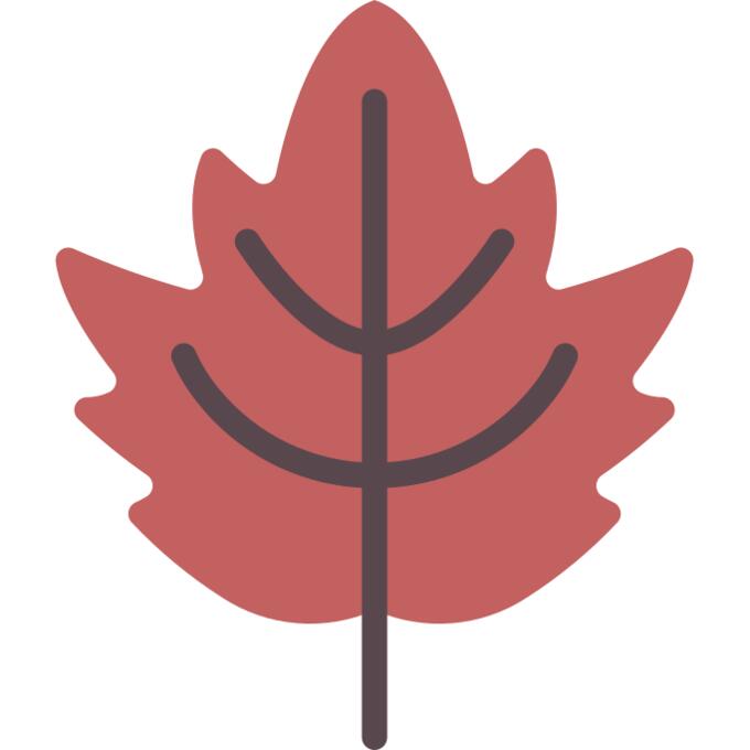 Leaf