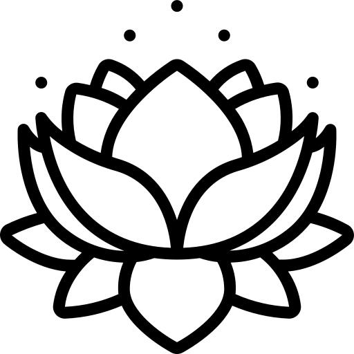 Water lily