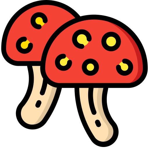 蘑菇