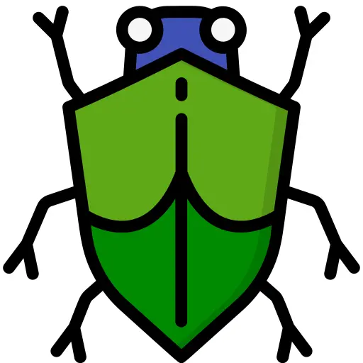 Bug