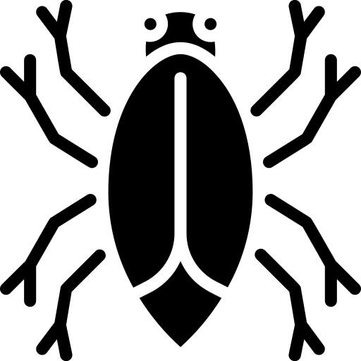 Insect