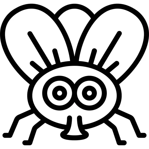 Fly