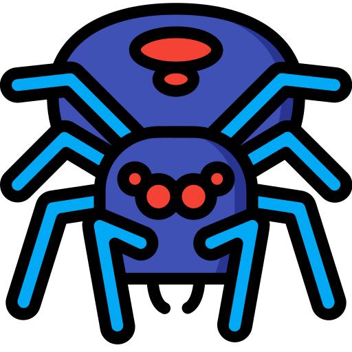 Spider