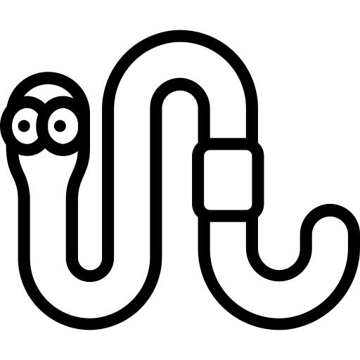 Worm