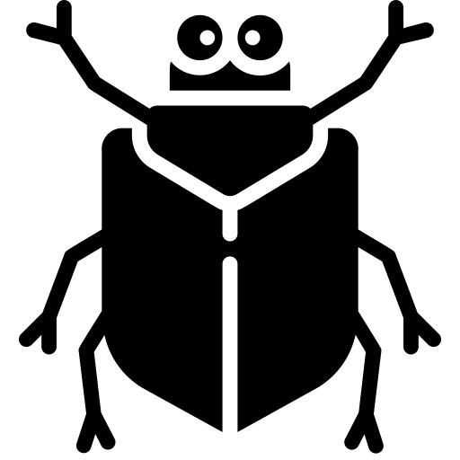Beetle