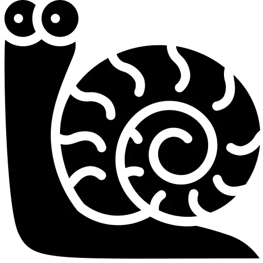 Snail