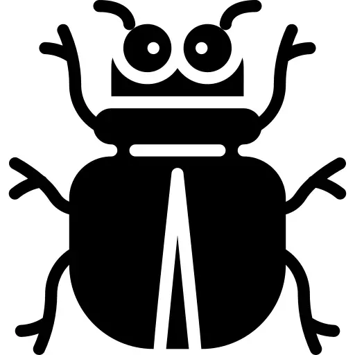 甲虫