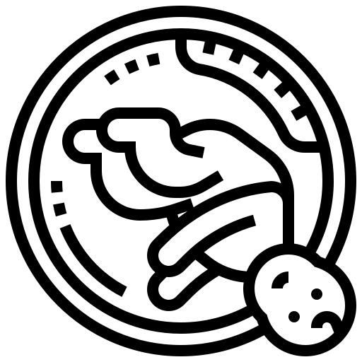 胎儿