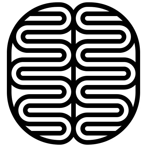 脑