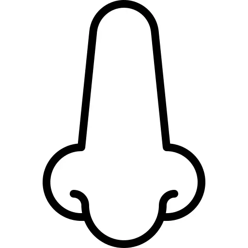Nose