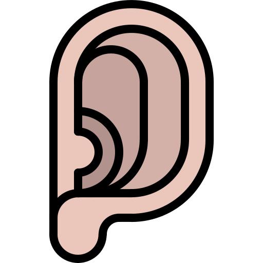 耳