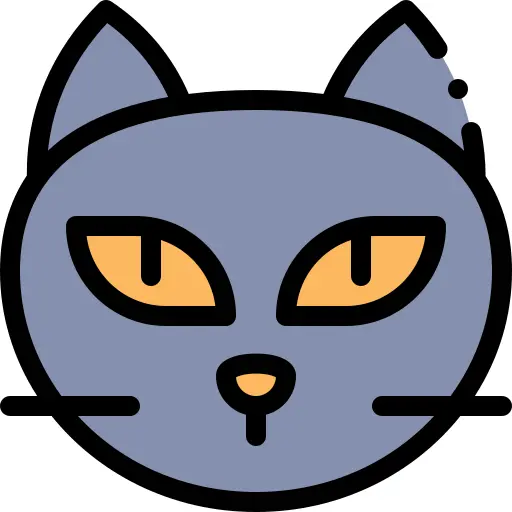 黑猫