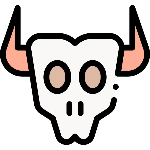 Bull skull