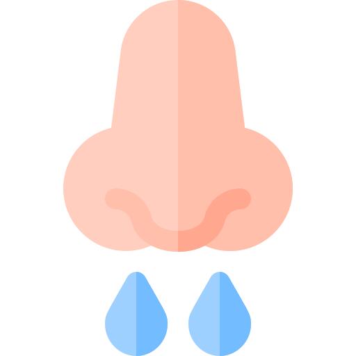 Nose