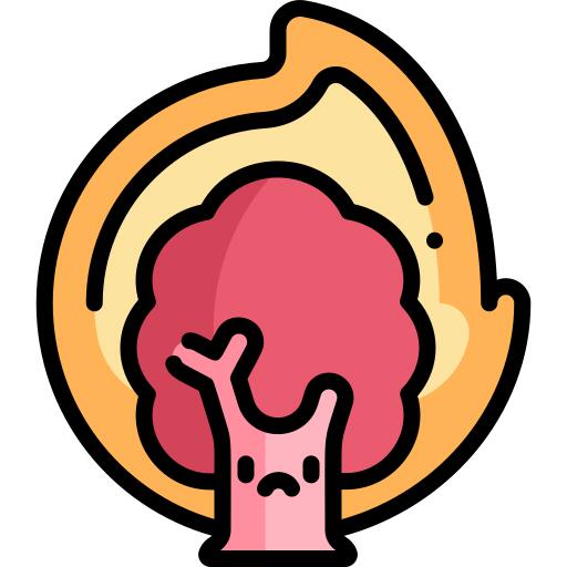 火