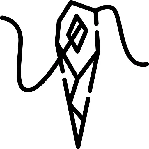 Needle