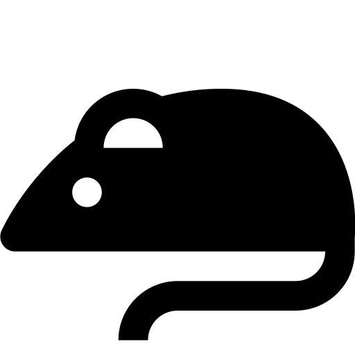 Rat