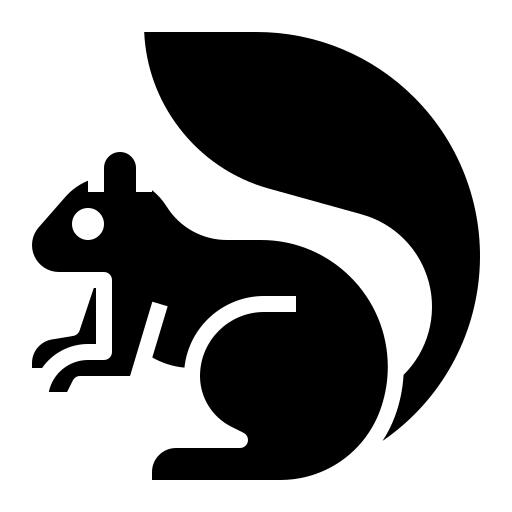 松鼠