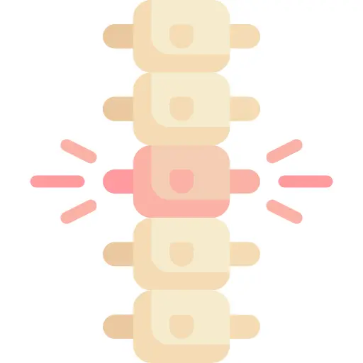 脊柱