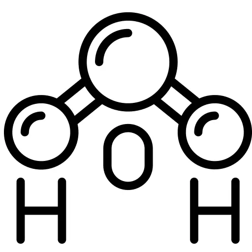 分子