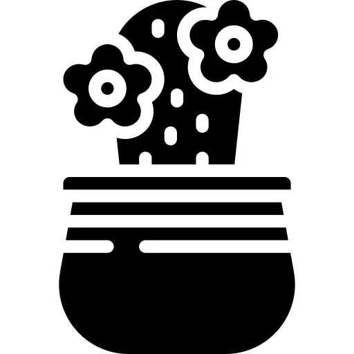 仙人掌