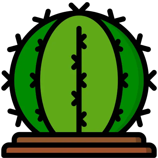 仙人掌