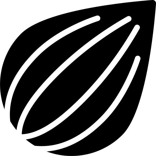 种子