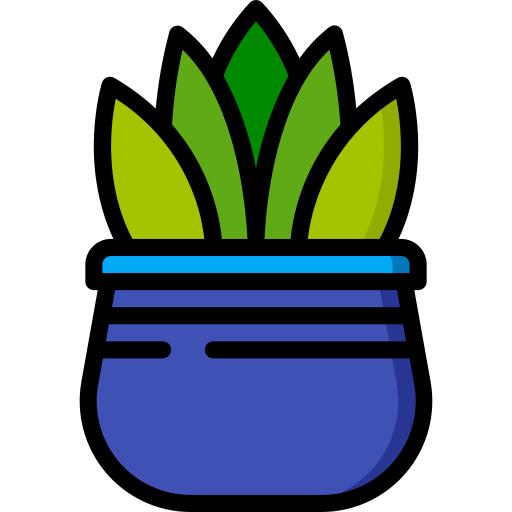 芦荟