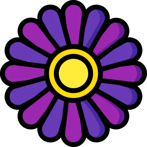 雏菊