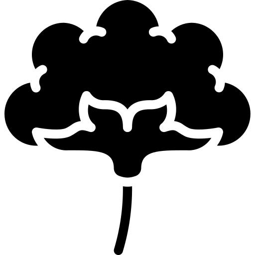 棉