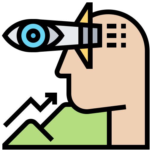 Vision