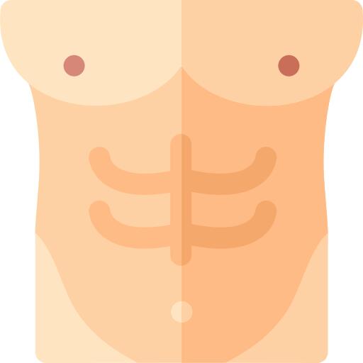 Muscle