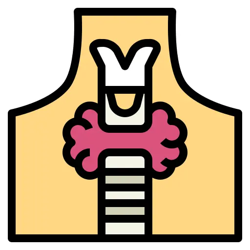 甲状腺