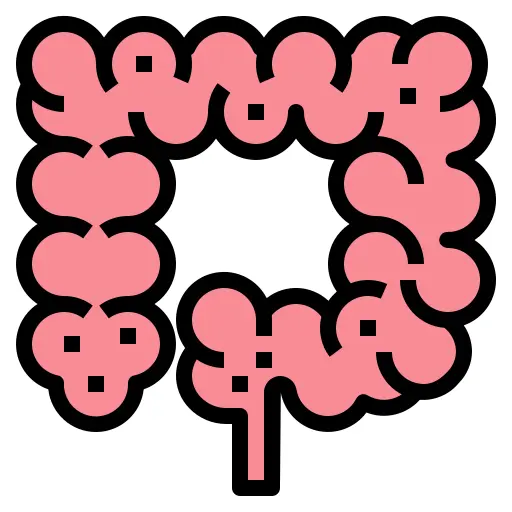肠