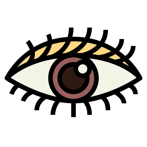 眼睛