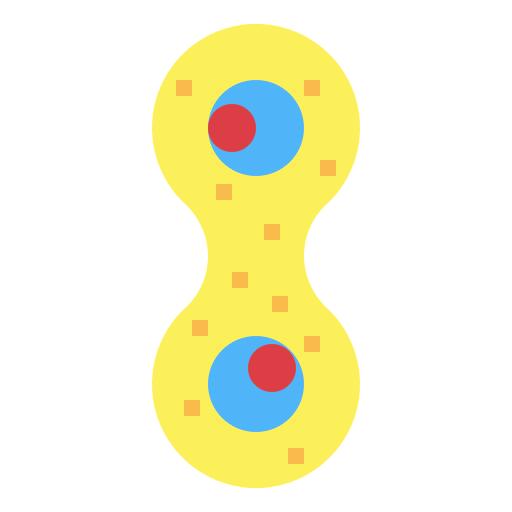 Mitosis
