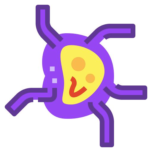 Lymph nodes