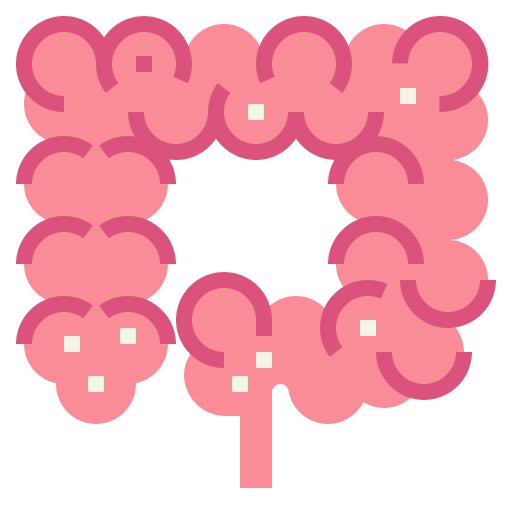 Intestine
