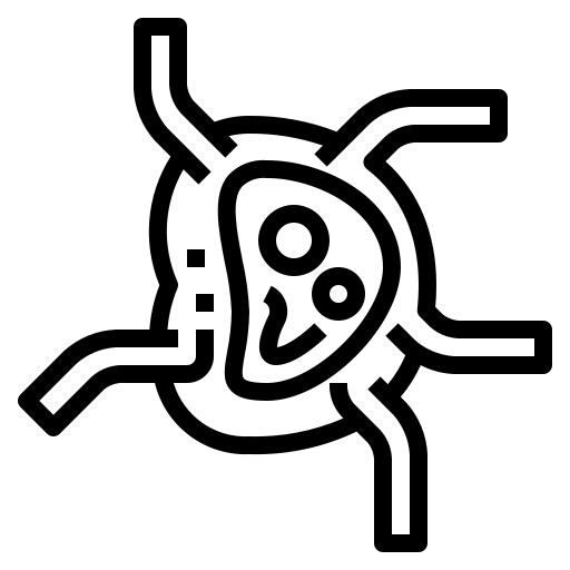 Lymph nodes