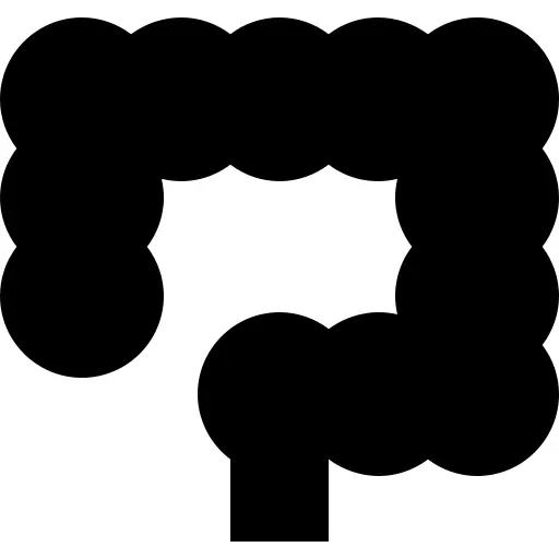 肠
