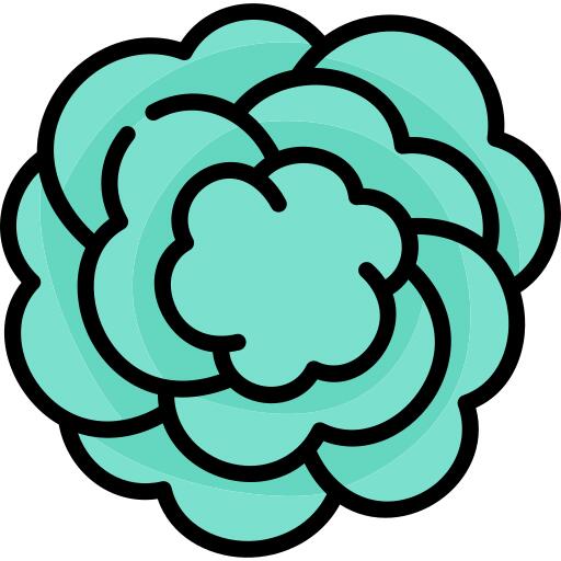 Carnation