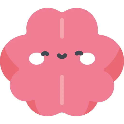 脑