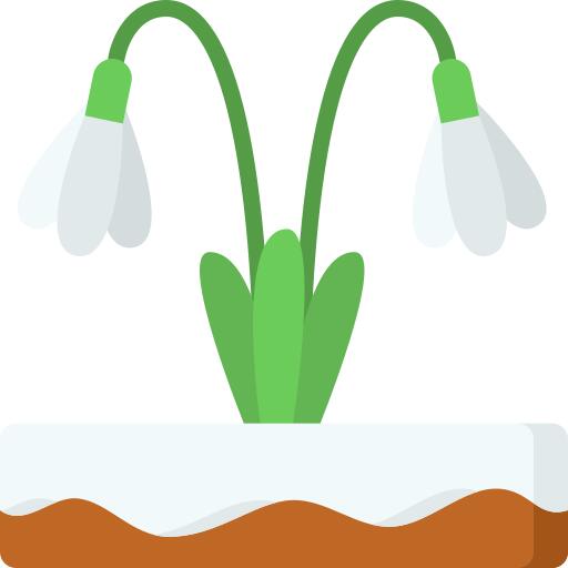 Snowdrop