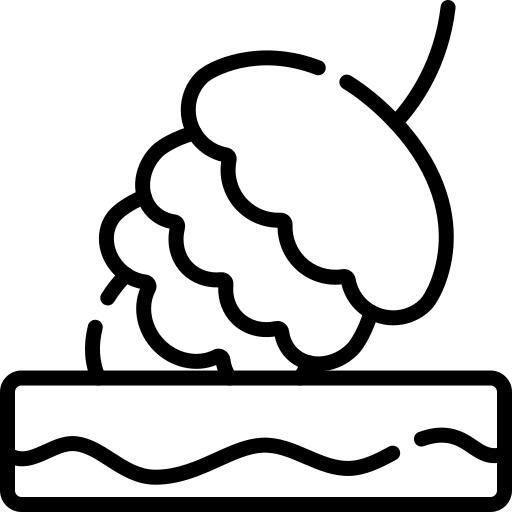 Pine cone