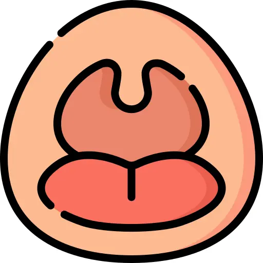 喉